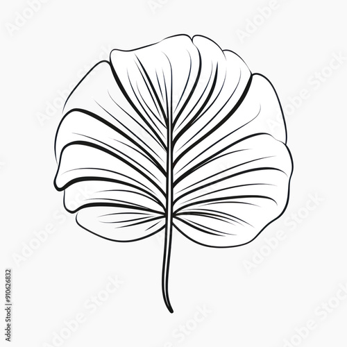 Minimalist black-and-white leaf illustration