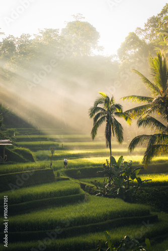 Morning view of Tegallalang Rice fields terraces in Ubud, Bali, Indonesia 