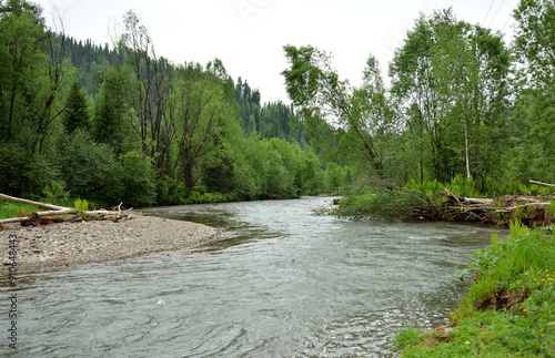 A winding bed of a shallow but stormy river with pebbly banks flowing through a dense forest on a cloudy summer day. photo