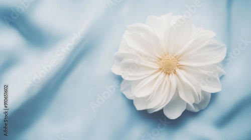 A pristine white flower gently placed on smooth silk fabric, creating a tranquil and elegant atmosphere.