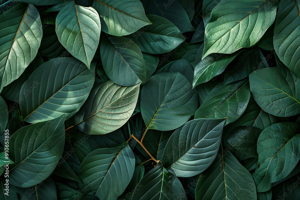 Green Leaves Pattern Creating a Fresh and Botanical Nature Background Design
Green Leaves Pattern Creating a Fresh and Botanical Nature Background Design