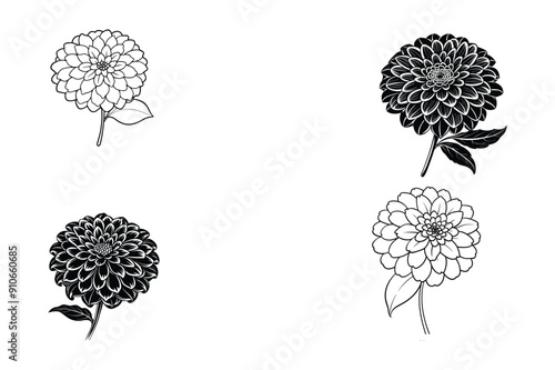 This is zinnia flowers vector icon with illustration