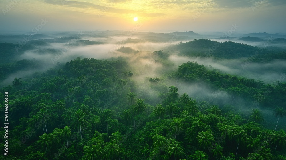 Fototapeta premium Aerial view of lush green rainforest with mist and mountains in the background, generative ai