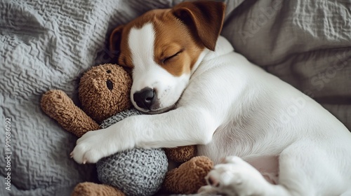 Beloved puppy with toy sleeping peacefully in cozy modern apartment Small whitebrown dog lying while embracing toy in bed : Generative AI photo