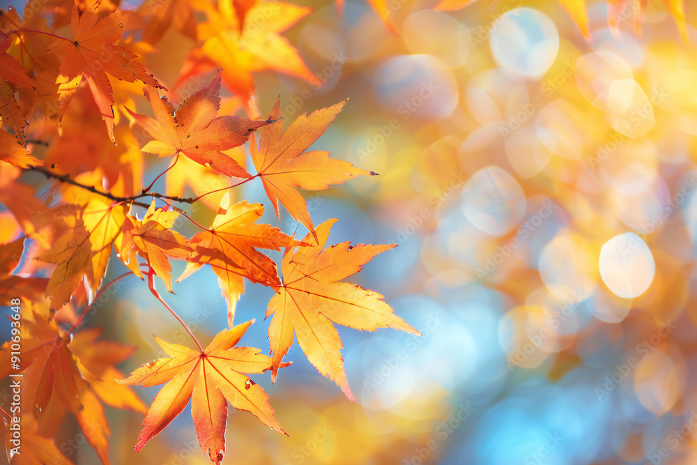 Colorful Autumn Leaves Creating a Vibrant Fall Background with Red, Yellow, and Orange Hues
Colorful Autumn Leaves Creating a Vibrant Fall Background with Red, Yellow, and Orange Hues