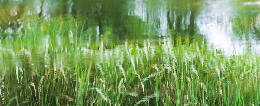 Green grass reflected on the surface of pond water. picturesque photo Green grass reflected on the surface of pond water. picturesque photo