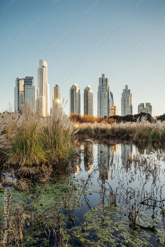 Fototapeta premium edificios en altura de argentina