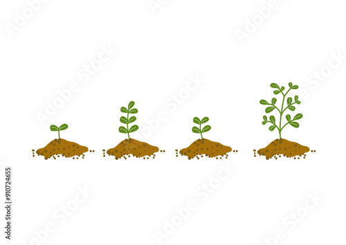 植物が芽を出し成長する様子のイラスト