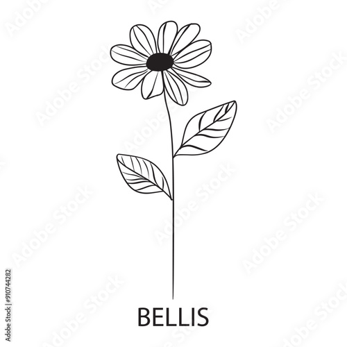 Bellis perennis flower Outline Design, Floral Clipart, Wildflower illustration in black and white
