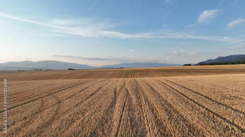 Low flight over mown wheat fields, with blue sky Low flight over mown wheat fields, with blue sky