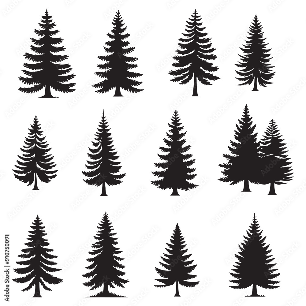 set of silhouettes of pine trees on white background set of silhouettes of pine trees on white background