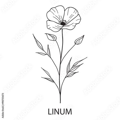 Linum flower Outline Design, Floral Clipart, Wildflower illustration in black and white
