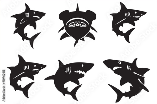 shark silhouette vector illustration. Different kind of sharks.