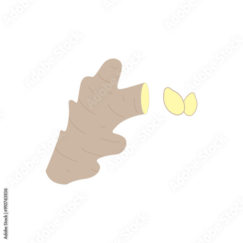 ginger vector. ginger on white background. free space for text. copy space.
