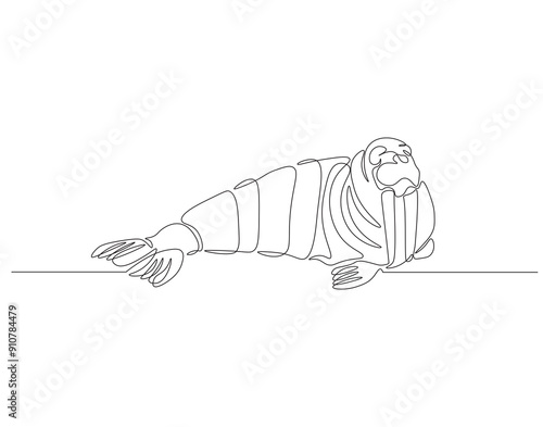 Continuous one line drawing of ocean walrus. One line drawing illustration of ocean seal. Marine mammal animal concept continuous line art. Editable outline.