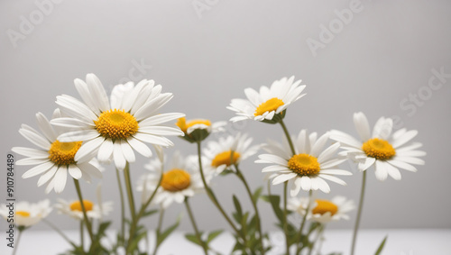 daisies in a vase