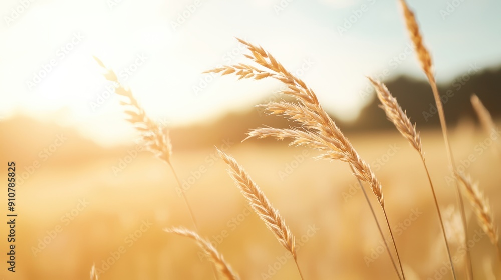 A gentle breeze moving through a field of tall grass, symbolizing trust and spiritual tranquility A gentle breeze moving through a field of tall grass, symbolizing trust and spiritual tranquility