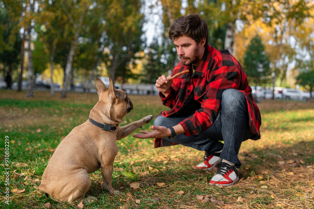 A man is training his dog using treats in the park, building a bond on a pleasant autumn afternoon A man is training his dog using treats in the park, building a bond on a pleasant autumn afternoon