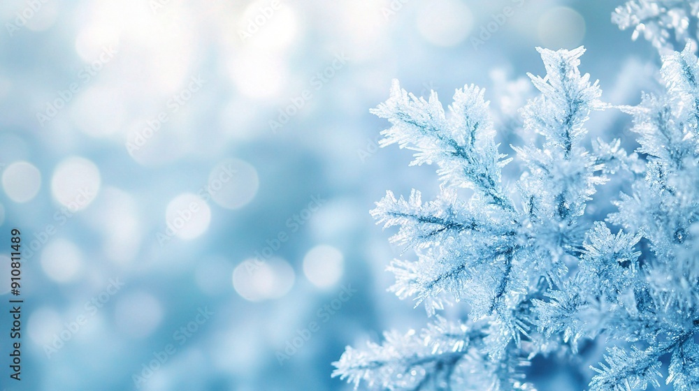 Frozen Winter Wonderland: A delicate branch, frosted with winter's touch, stands out against a bokeh backdrop of glistening snow, evoking a sense of peaceful serenity. Frozen Winter Wonderland: A delicate branch, frosted with winter's touch, stands out against a bokeh backdrop of glistening snow, evoking a sense of peaceful serenity.