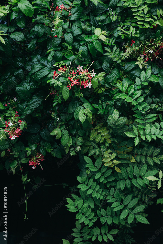tropical lush green leaves background tropical lush green leaves background