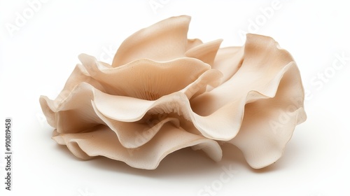 Fresh maitake mushroom slices, revealing the intricate, frilled structure. Displayed against a white background to emphasize the texture