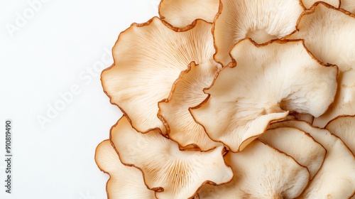 Fresh maitake mushroom slices, revealing the intricate, frilled structure. Displayed against a white background to emphasize the texture