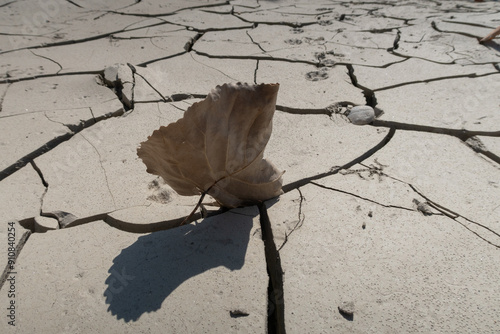 Obraz na płótnie Drought river detritus leaf w salonie