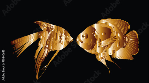 Golden Angel fish kiss Oscar fish vector silhouette illustration isolated. Aquarium animal fish mating, exotic under water world. Coral reef Pisces. Shape couple fish in love kissing shadow. Gold fish