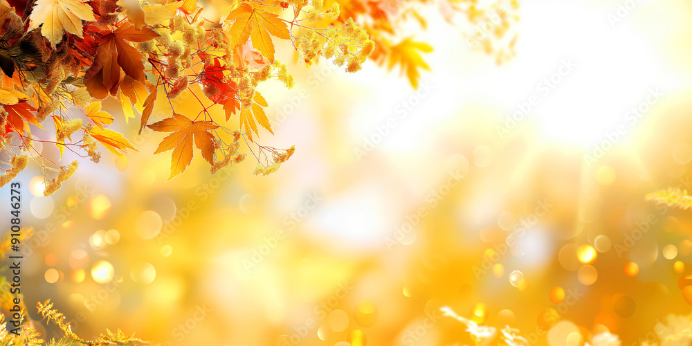 Golden Autumn Foliage in Sunlight. Bokeh Background of Fall Leaves and Bright Sun. autumn scene, banner Golden Autumn Foliage in Sunlight. Bokeh Background of Fall Leaves and Bright Sun. autumn scene, banner
