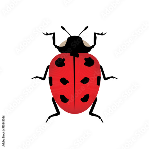 Obraz na płótnie Insect ladybird cute small red bugs. Vector illustration desing. w salonie
