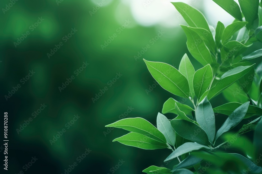 Modern close up of leaves on blurred green background. Premium background for banners or posters with generative ai Modern close up of leaves on blurred green background. Premium background for banners or posters with generative ai