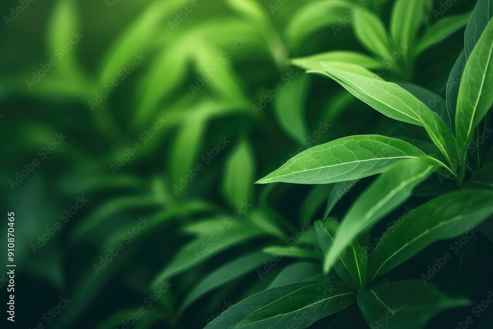 Modern close up of leaves on blurred green background. Premium background for banners or posters with generative ai Modern close up of leaves on blurred green background. Premium background for banners or posters with generative ai