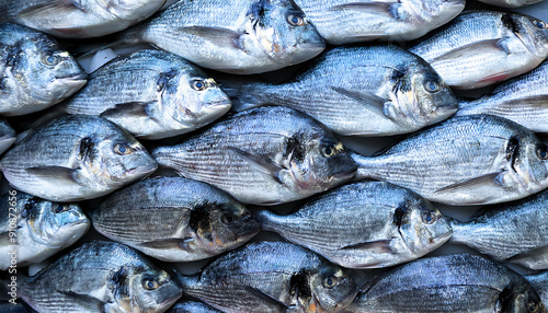 Freshly caught dorades lie next to each other in a symmetrical pattern as a background.