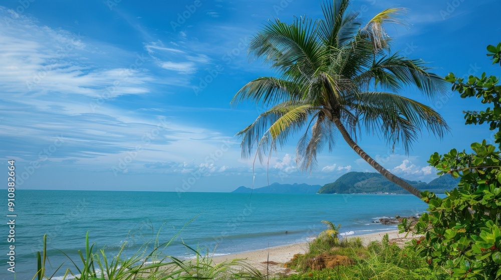 Tropical Beach Paradise with Palm Tree Tropical Beach Paradise with Palm Tree