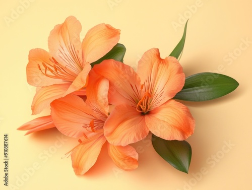 Orange flowers on yellow surface