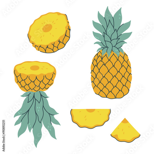 Set of pineapple and pieces isolate on white background. Vector graphics.