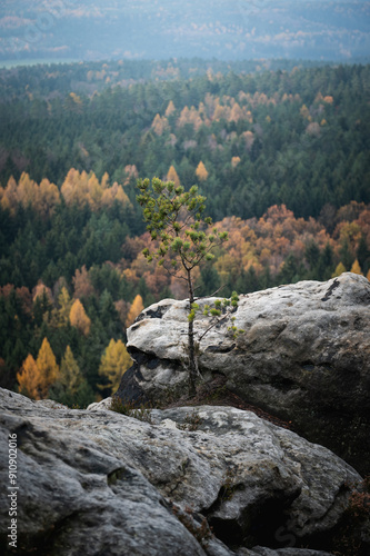 View from the top of the mountain, Sachsische Schweiz, Germany photo