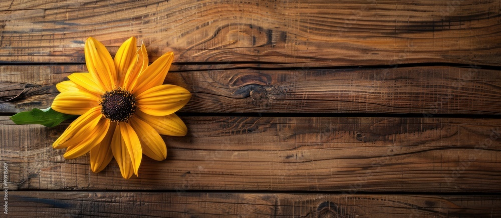 Fototapeta premium Yellow flower on wooden bar backdrop for design and template with copy space image