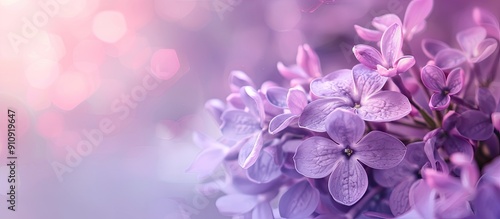 Obraz na płótnie Floral arrangement featuring purple flowers on a soft pastel background with copy space image w salonie
