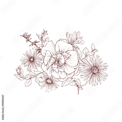 Hand drawn pencil graphics illustration bouquet of vintage flowers