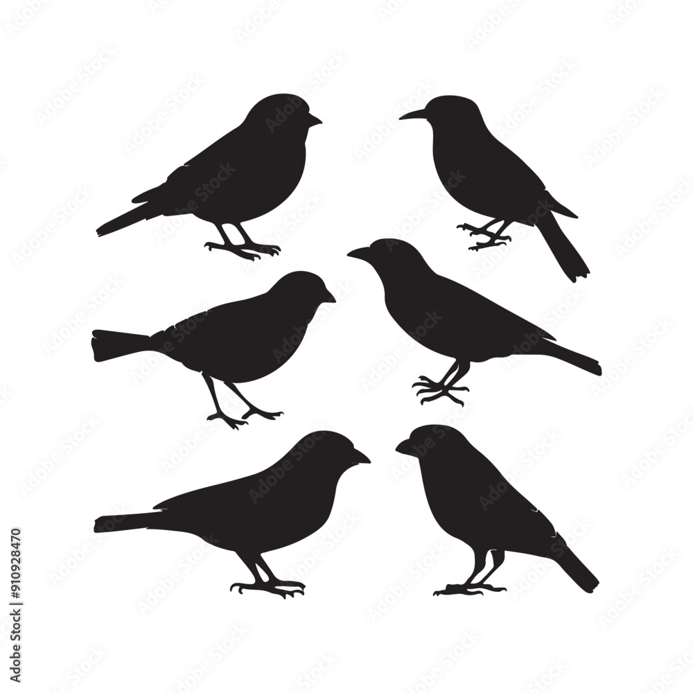 Minimalist Black and White Bird Vector Silhouettes Minimalist Black and White Bird Vector Silhouettes