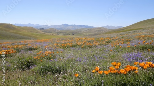 Tranquil Scene of Rolling Hills and Distant Mountains Under Clear Sky, Lush Greenery and Wildflowers Carpet the Landscape