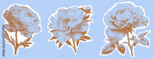 Vintage flowers kit. Collage with a girly aesthetic. Retro bitmap scrapbooking style with cutout element. Trendy stickers for poster art or t-shirt with photocopy dotted effect.