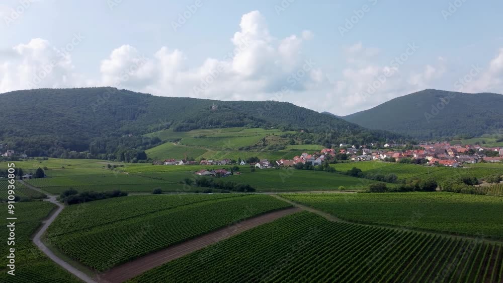 Panoramavideo Frankweiler - Deutsche Weinstraße, Pfalz Panoramavideo Frankweiler - Deutsche Weinstraße, Pfalz
