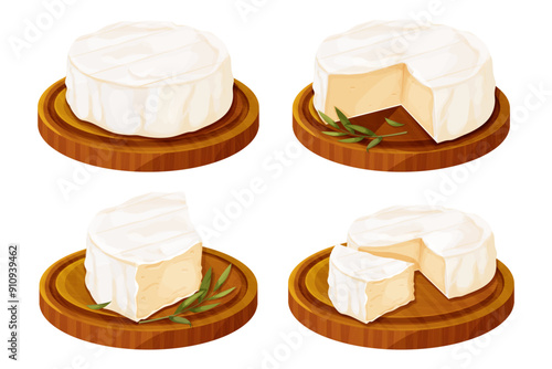 Set Camembert cheese, brie french soft creamy food on wooden tray with rosemary isolated on white background. 
