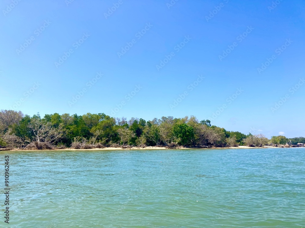 Fototapeta premium Mangrove tree forest on a beach coast, tropical island view with bright blue sky on summer day
