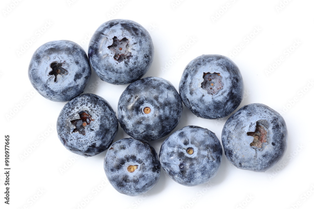 blueberries on white background blueberries on white background