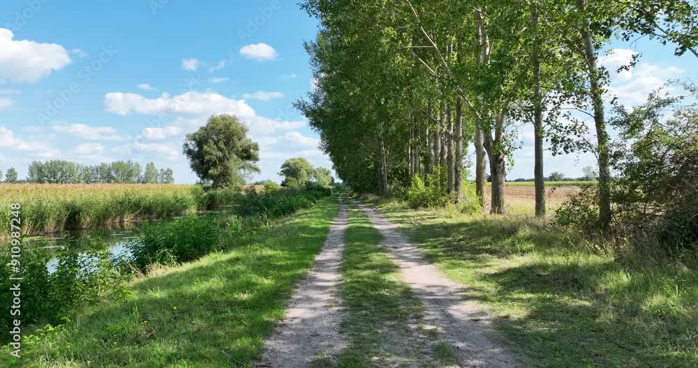 Aerial view of a pathway, next to trees and canal, with blue sky. Flying close to the ground Aerial view of a pathway, next to trees and canal, with blue sky. Flying close to the ground