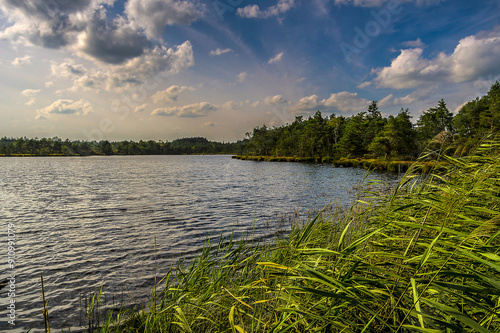 Schönramer Heide See photo