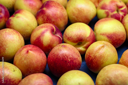 nectarines on a pack line 